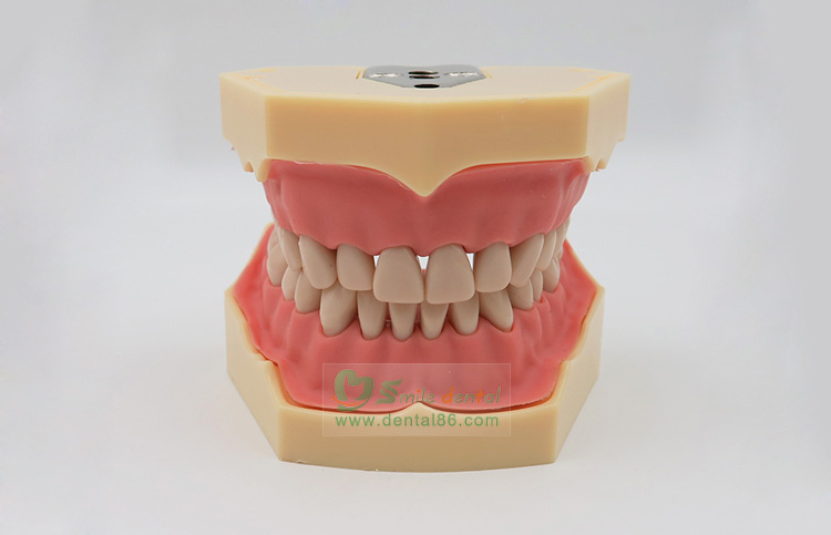 TM-A5 Standard Model, SF Style